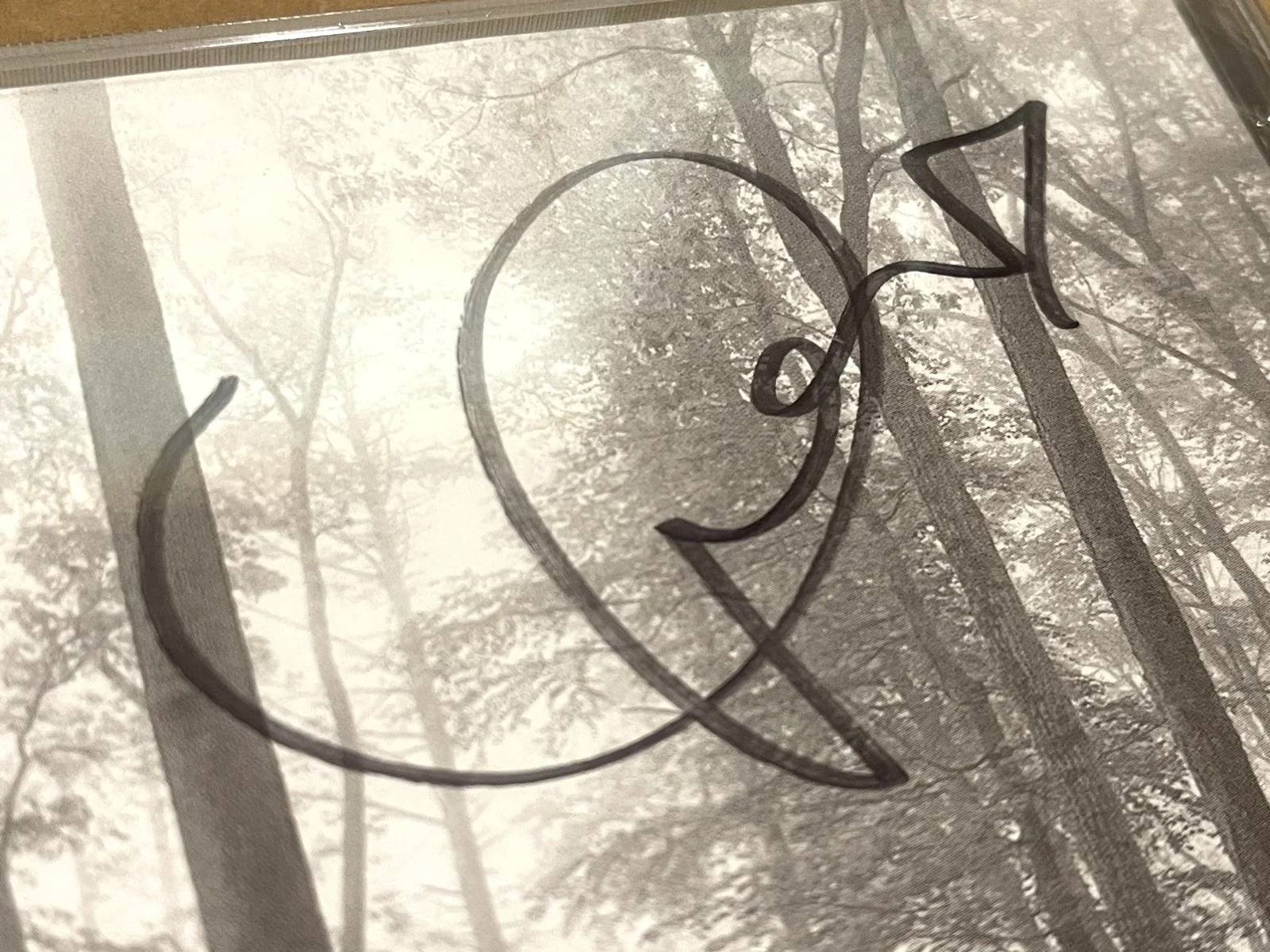 Taylor Swift Folklore CD Signed RARE Autograph Authentic Sealed Hand Signed, image 3