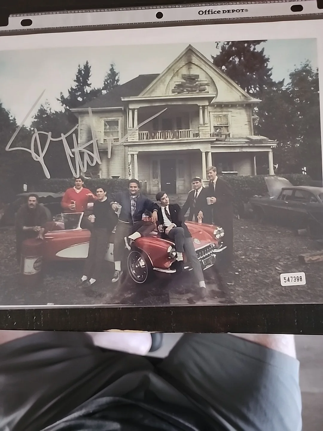 TIM MATHESON — Tim matheson animal house, eight by ten color photo signed