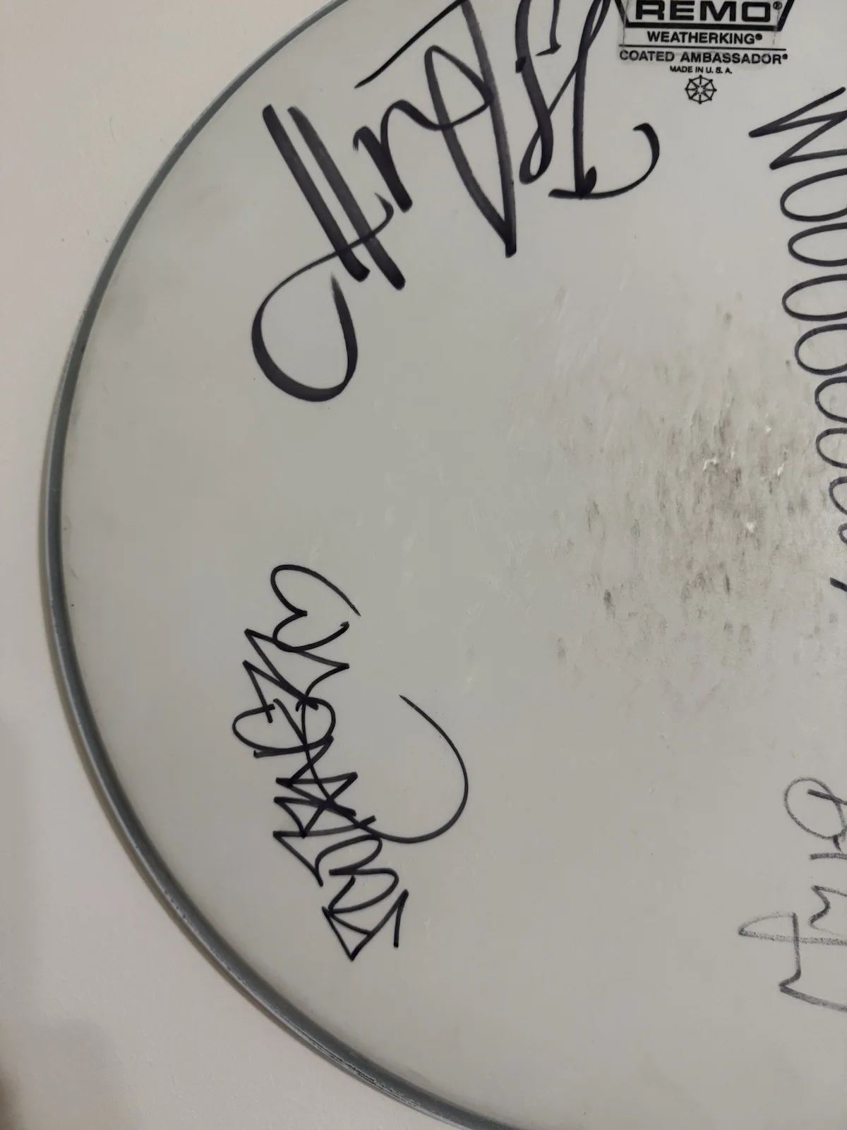The Avett Brothers Signed Autographed Drum Head. RARE., image 2