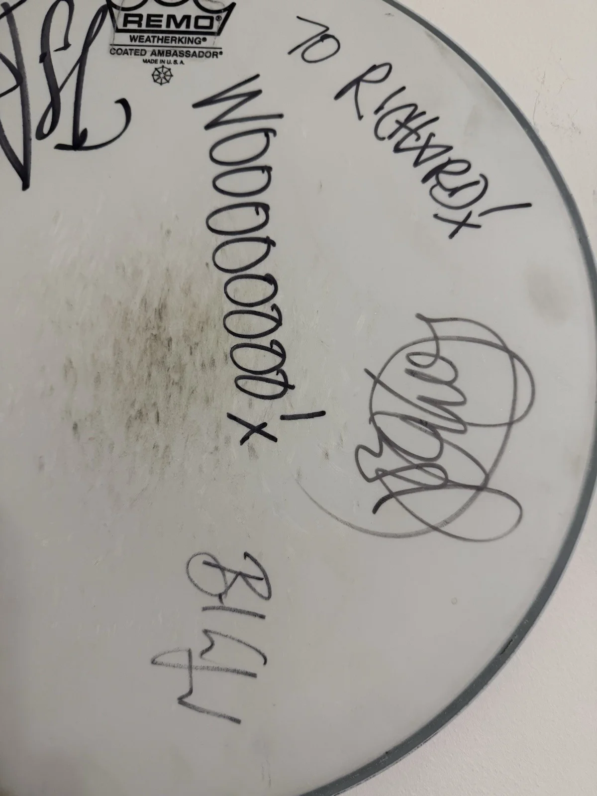 The Avett Brothers Signed Autographed Drum Head. RARE., image 3