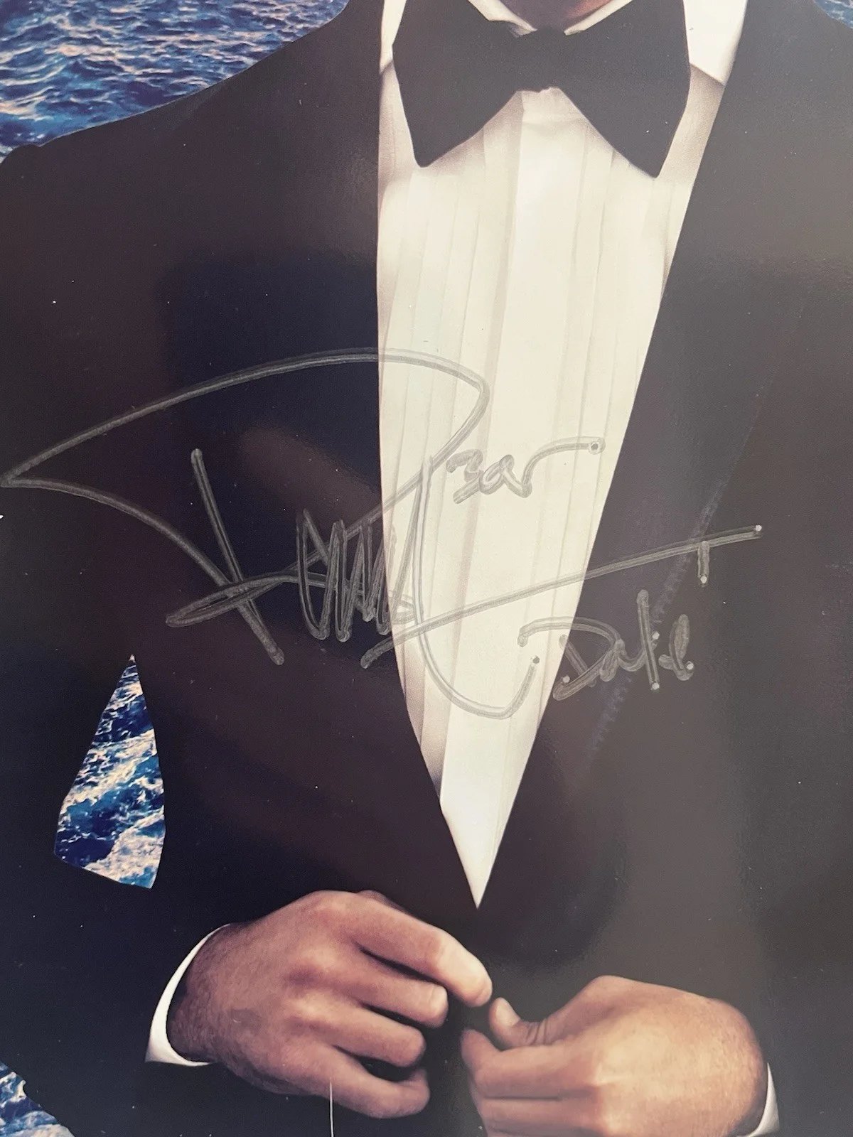 Pitbull Armando Christian Pérez Signed Autograph 11x14 Photo Cruise Autograph, image 2