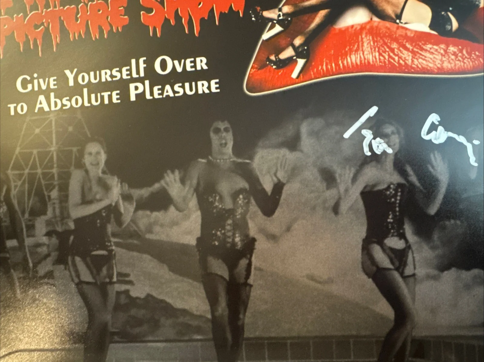 Tim Curry — Tim Curry Signed 11x17 Rocky Horror Picture Show Photo Beckett COA, изображение 5