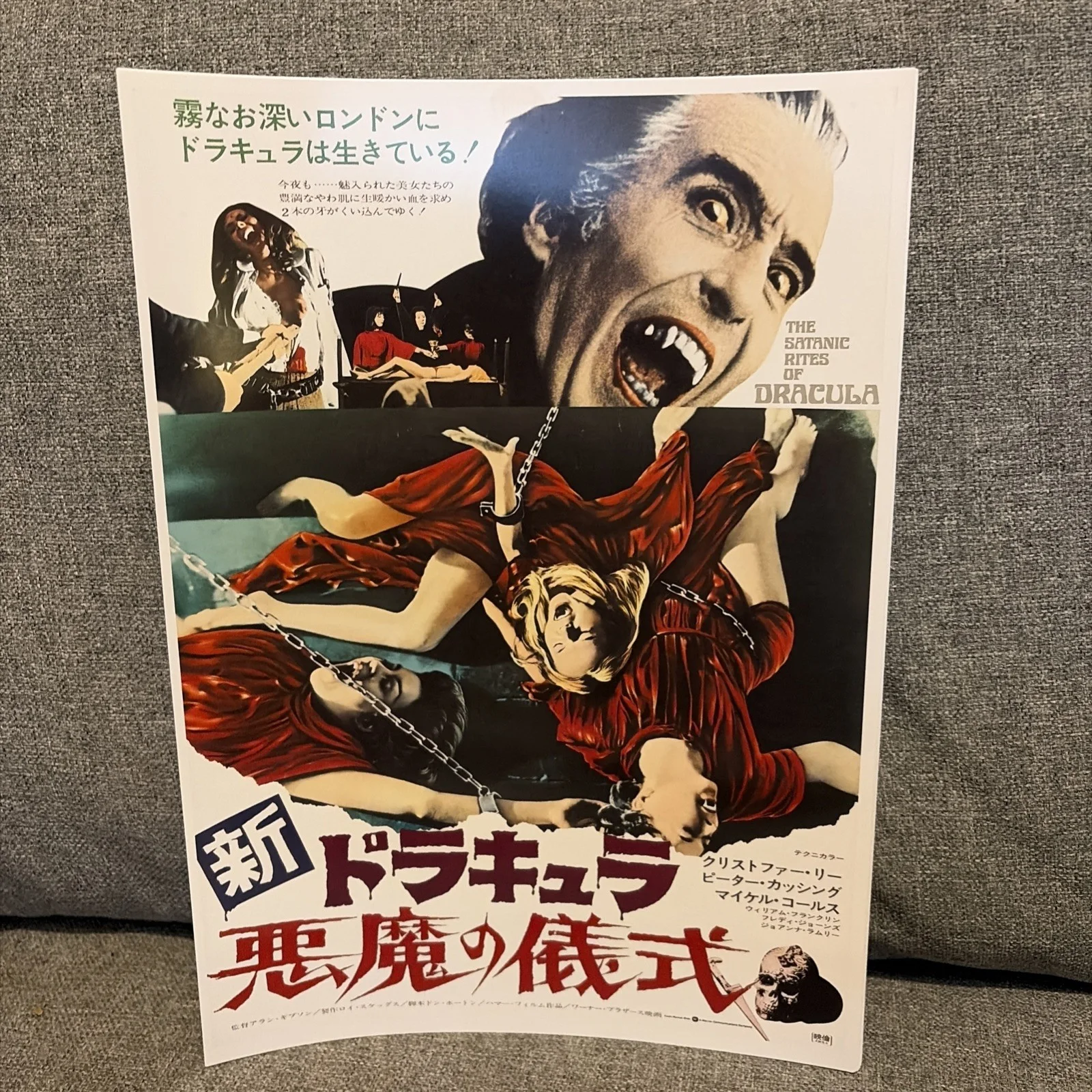 Retro Dracula Film Poster Print Bundle 15x Horror, image 4