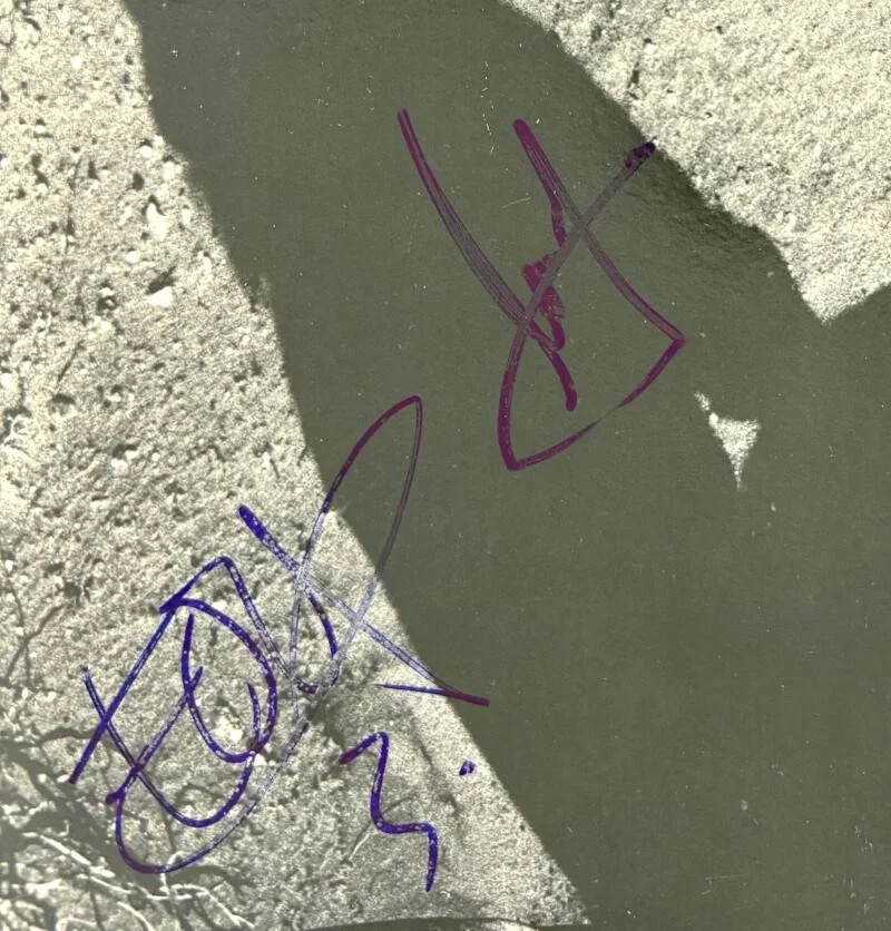 Bono, Adam Clayton, The Edge, Larry Mullen Jr — U2 Full Band Signed Autograph Album Record Larry Mullen Jr Bono Edge Adam w/ JSA, изображение 4