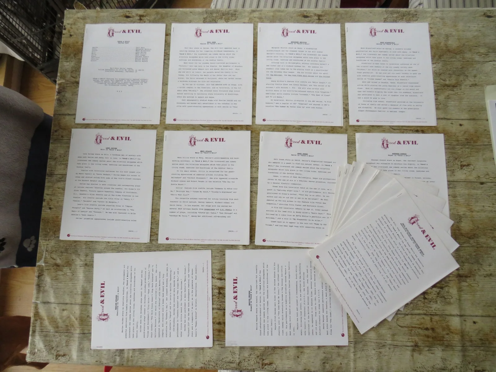 GOOD AND EVIL ORIGINAL 1991 TOUCHSTONE SERIES PRESS KIT Teri Garr 6 PHOTOS RARE, изображение 3