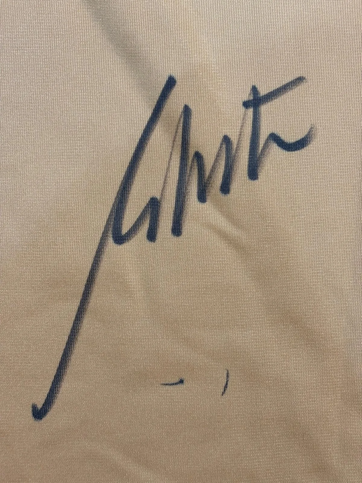 William Shatner — William Shatner Signed Star Trek Jersey. Damaged H, image 3