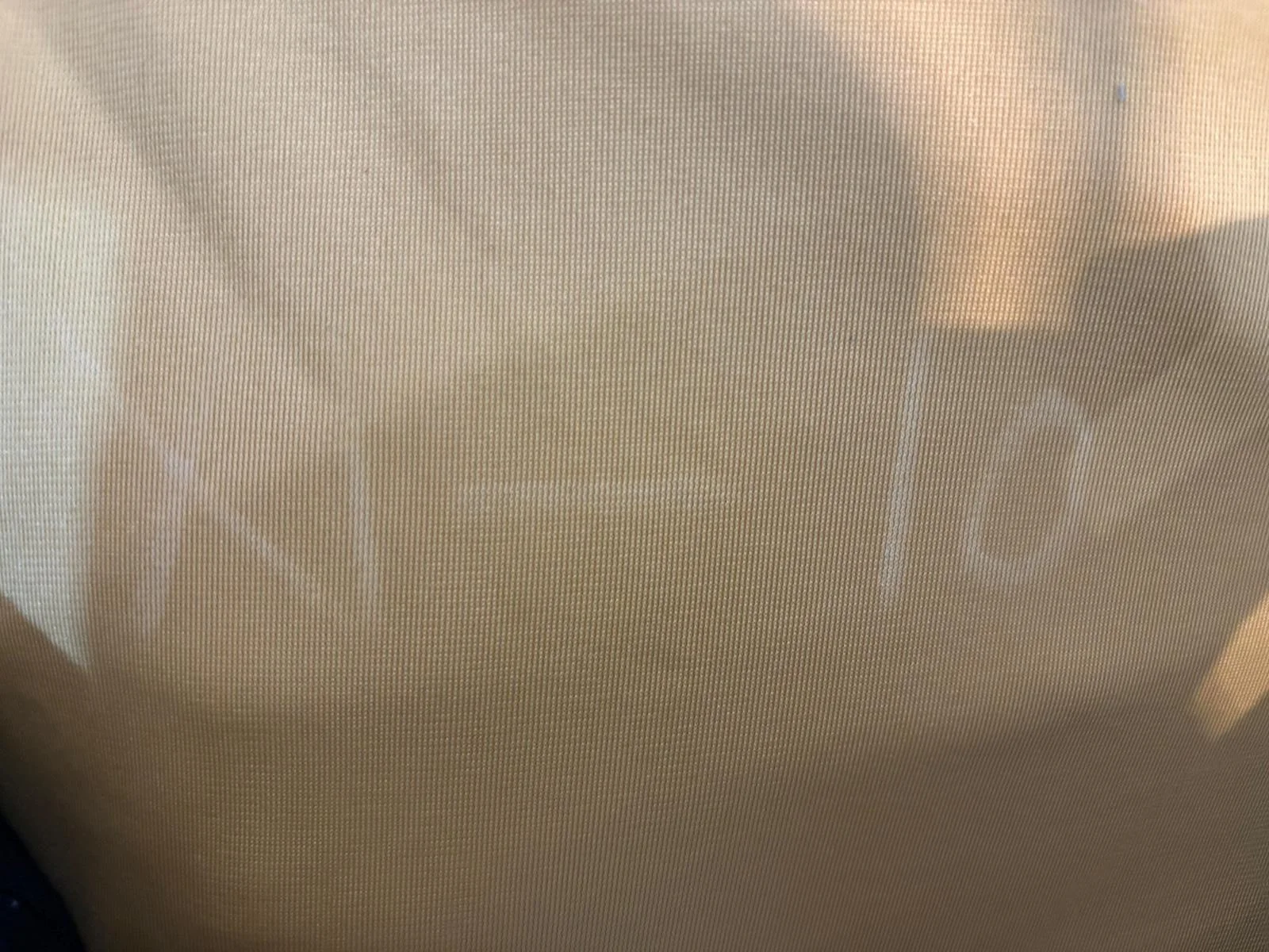 William Shatner — William Shatner Signed Star Trek Jersey. Damaged H, image 4