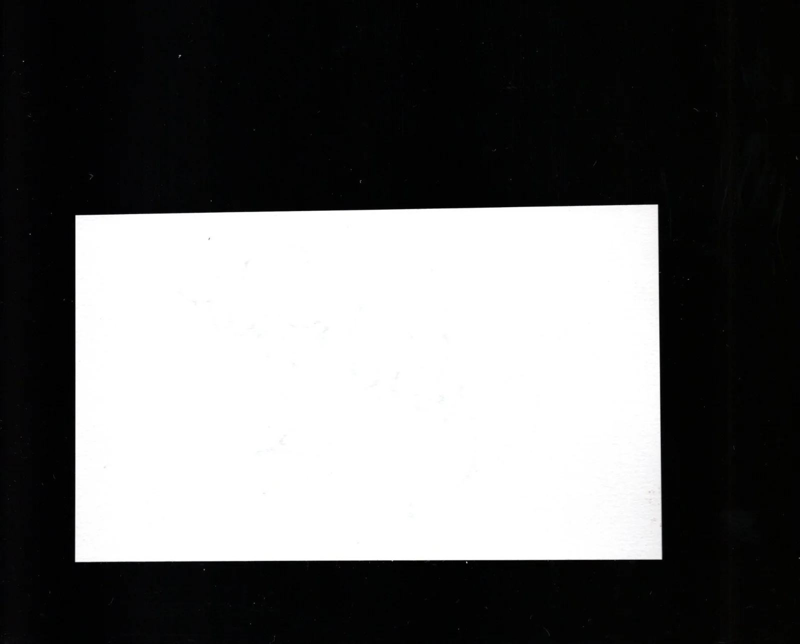 Julie White - Actress * Signed Index Card * Transformers - Big Mouth, image 2