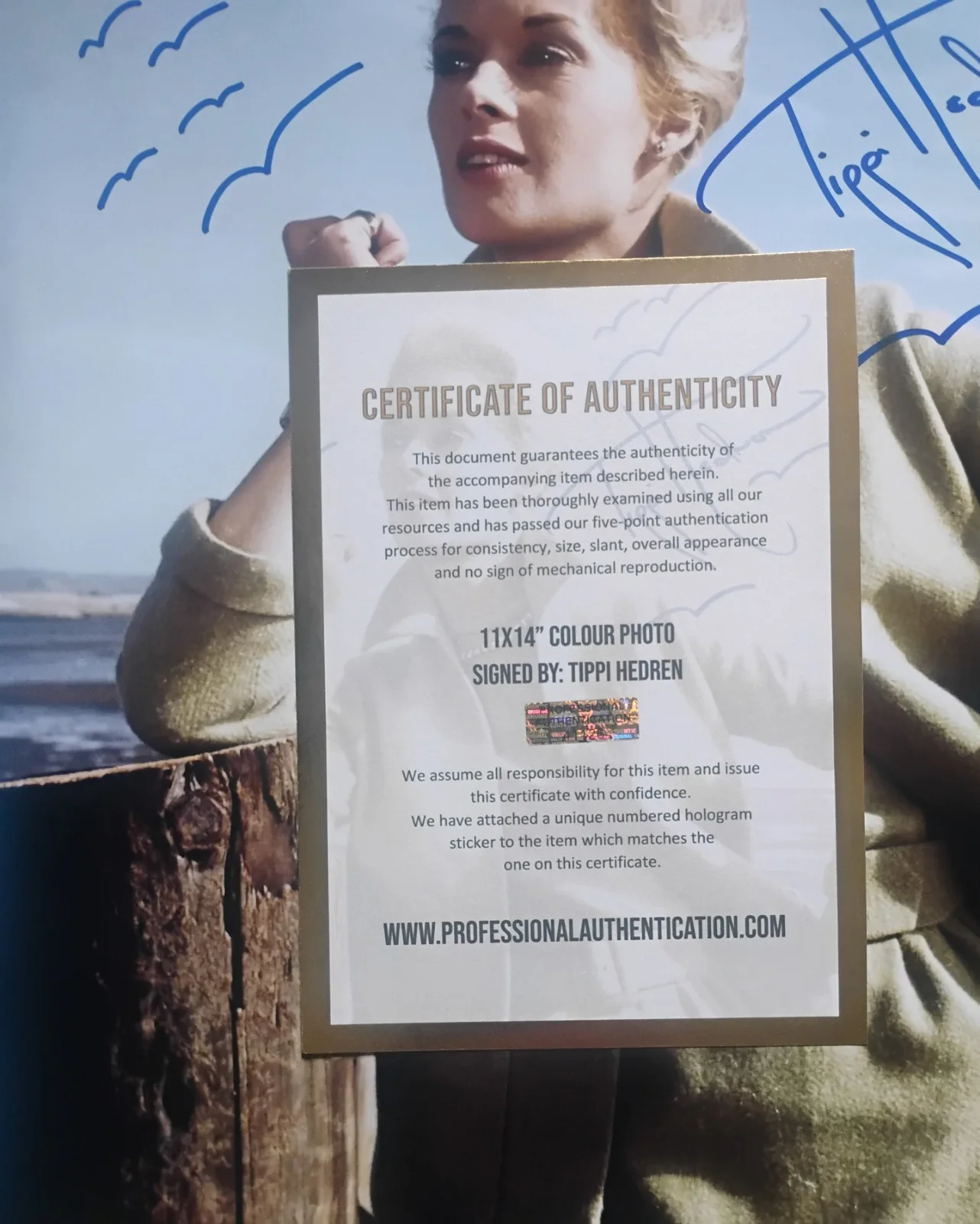 Tippi Hedren Hand Signed Autograph 11x14 Photo COA The Birds NO US TARIFFS, изображение 4