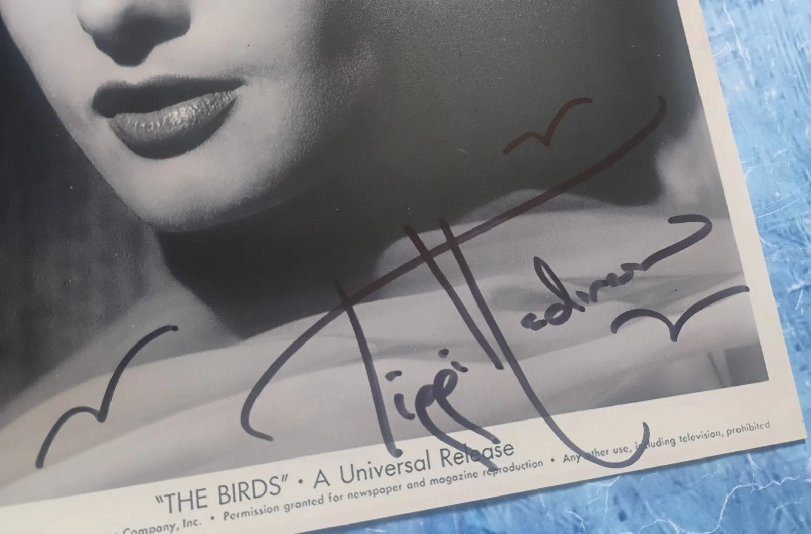 Tippi Hedren Hand Signed Autograph 8x10 Photo COA The Birds NO US TARIFFS, image 3