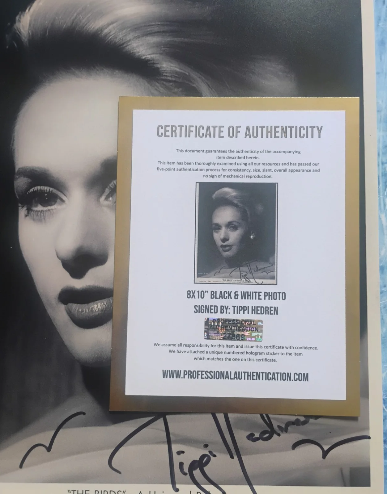 Tippi Hedren Hand Signed Autograph 8x10 Photo COA The Birds NO US TARIFFS, image 4