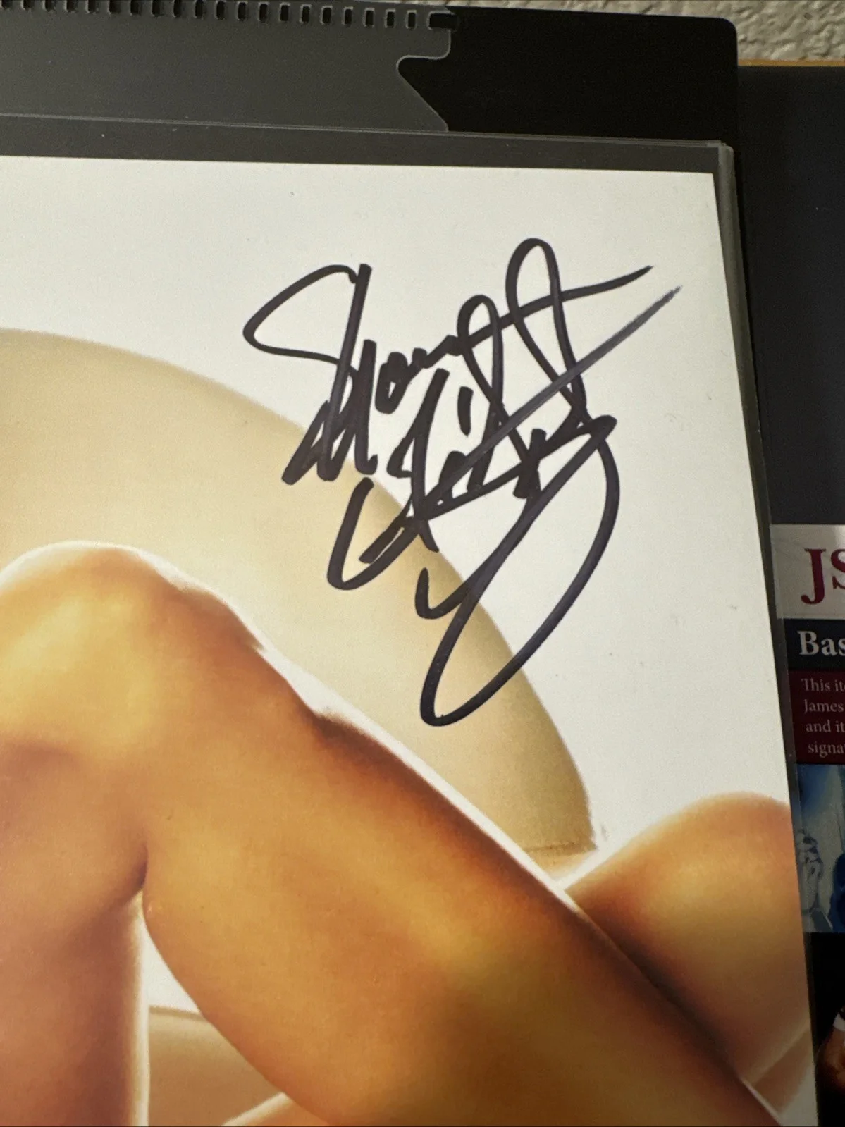 Shannon Elizabeth — Shannon Elizabeth signed 8x10 photo JSA Certification Nice Photo American Pie, изображение 2