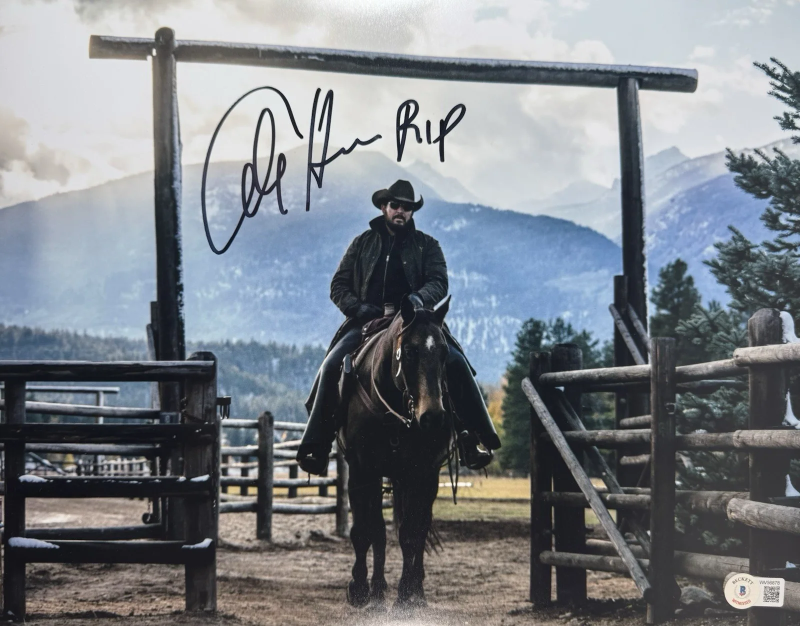 Cole Hauser — COLE HAUSER SIGNED YELLOWSTONE 11x14 PHOTO RIP WHEELER BECKETT BAS COA