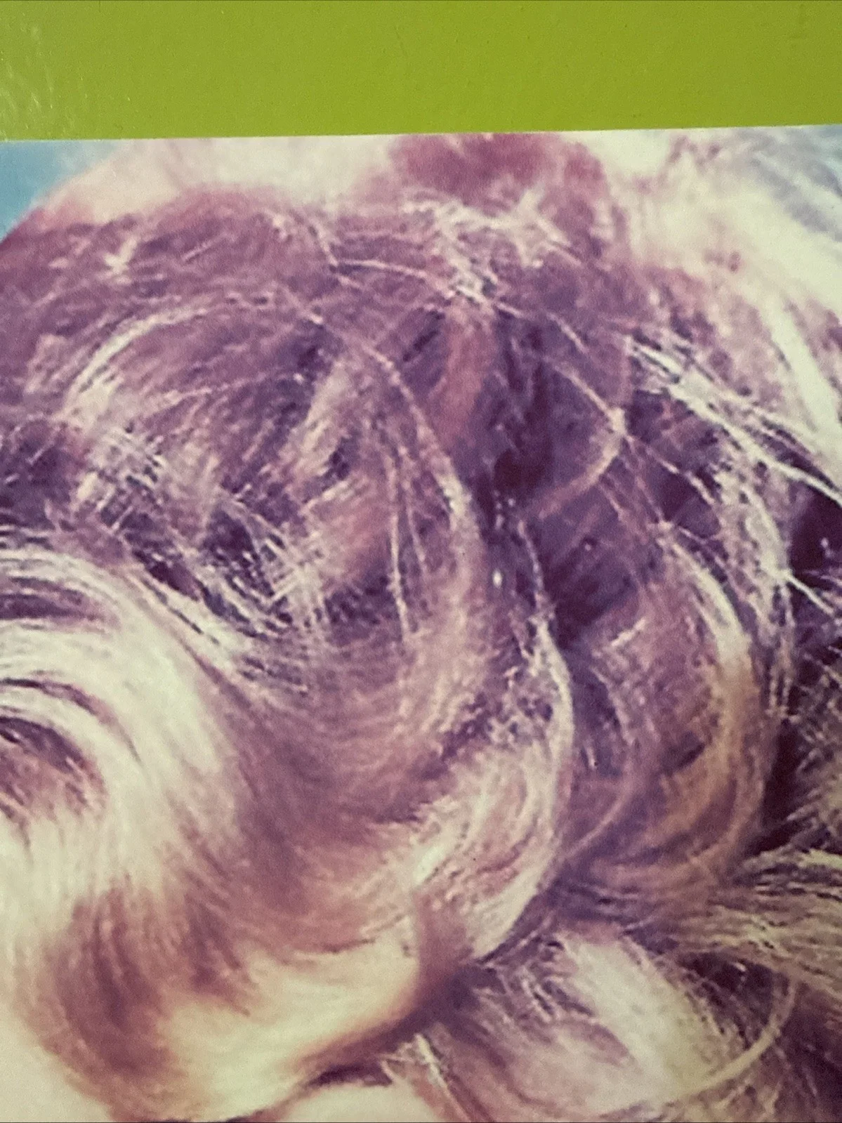 Brigitte Bardot — Fondation Brigitte Bardot Vintage Photo Signed Autograph France 8 1/4” x 11 3/4”, изображение 3