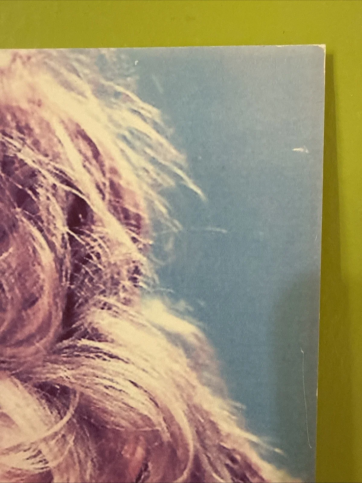 Brigitte Bardot — Fondation Brigitte Bardot Vintage Photo Signed Autograph France 8 1/4” x 11 3/4”, изображение 4