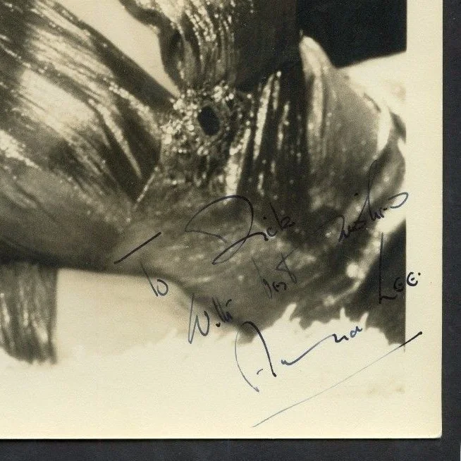 ANNA LEE HAND SIGNED AUTOGRAPHED CLASSIC PHOTO PSA / DNA CERTIFIED, image 2