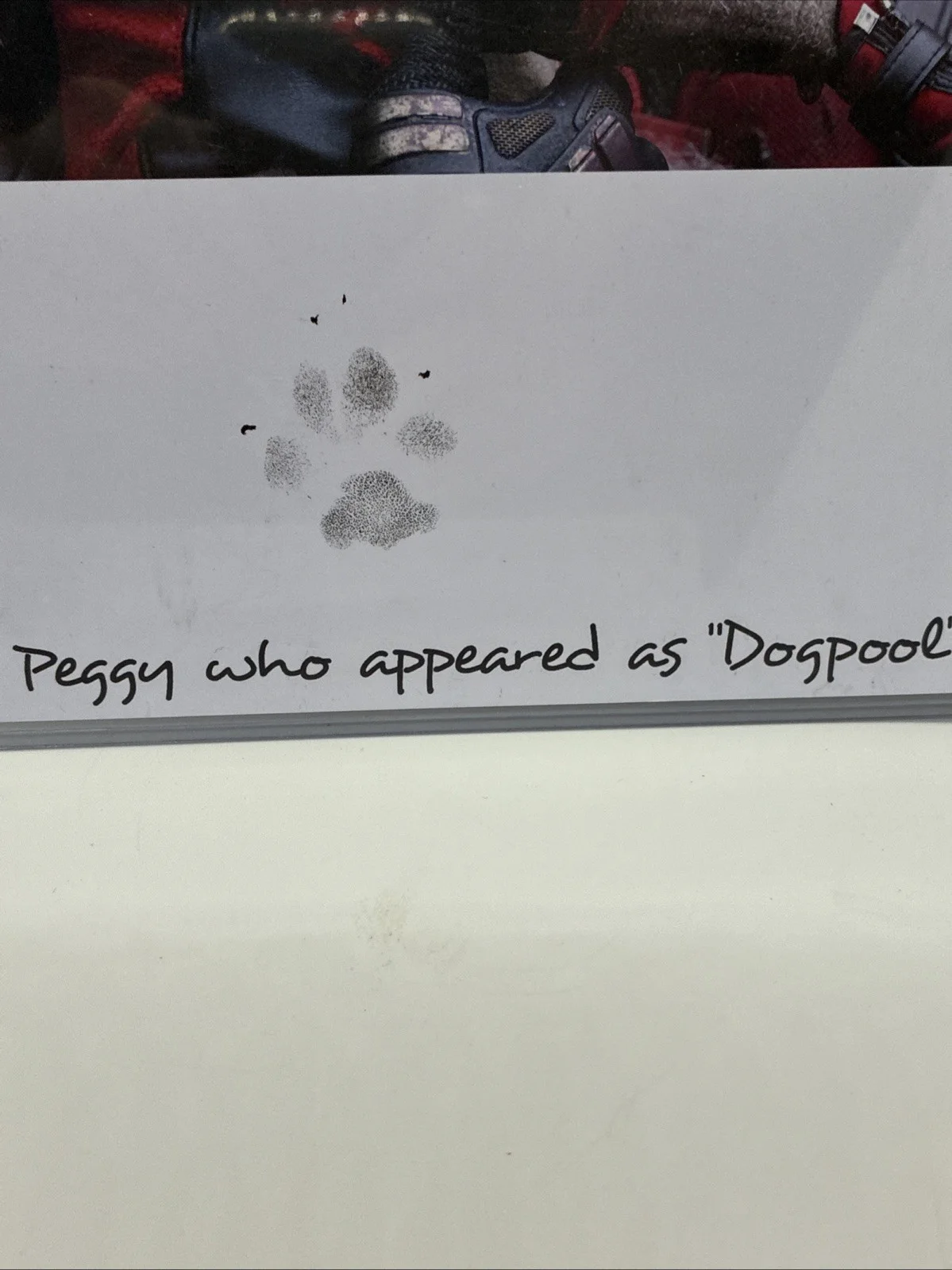 Peggy The Dog — Deadpool & Wolverine Dogpool Signed by Peggy the Dog Pawtograph 8x10 OfficialPix, изображение 2