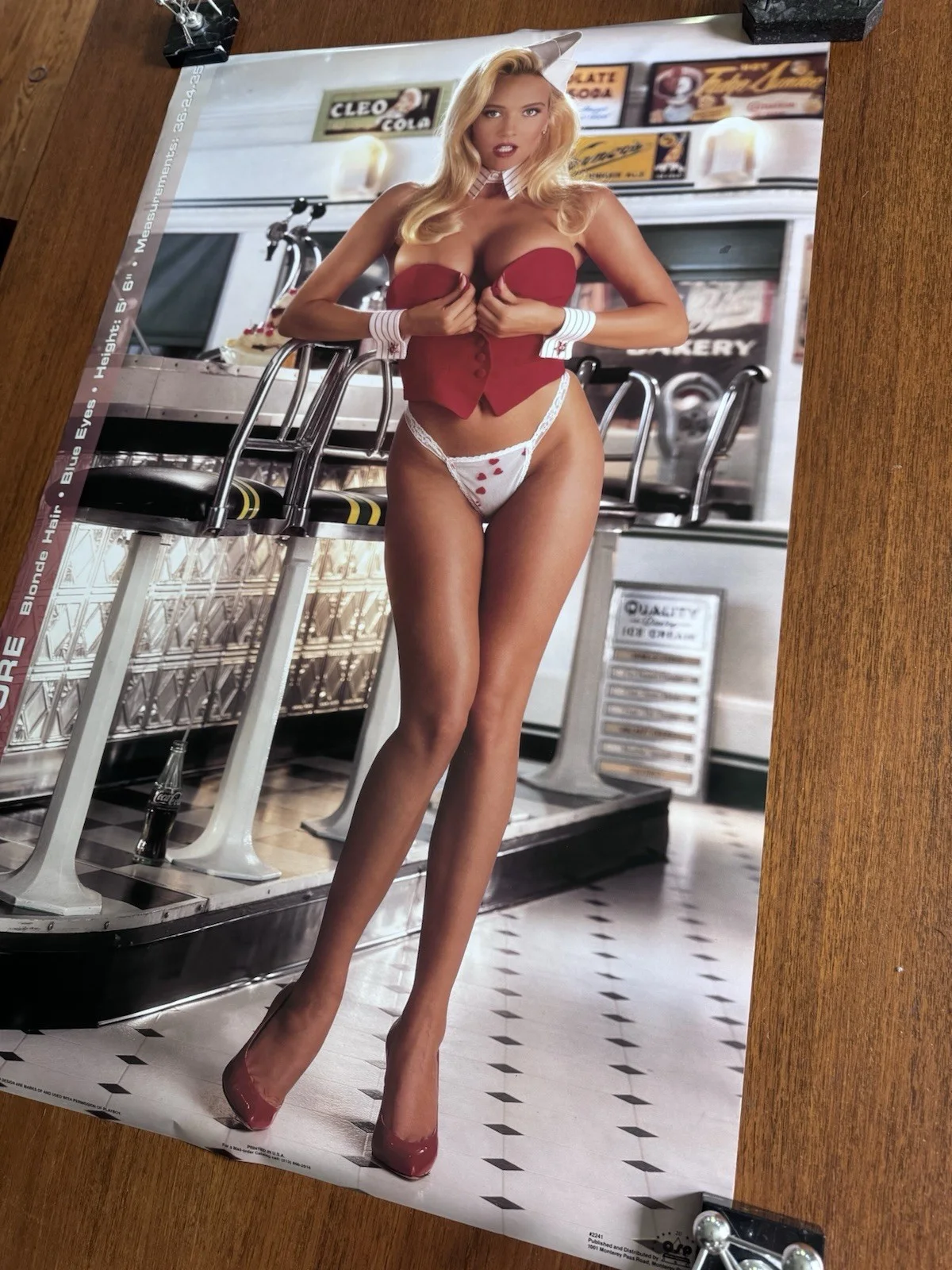 Vintage 1993 35x23 Poster Playboy Stats Sexy Barbara Moore Man Cave Pin Up New, изображение 3