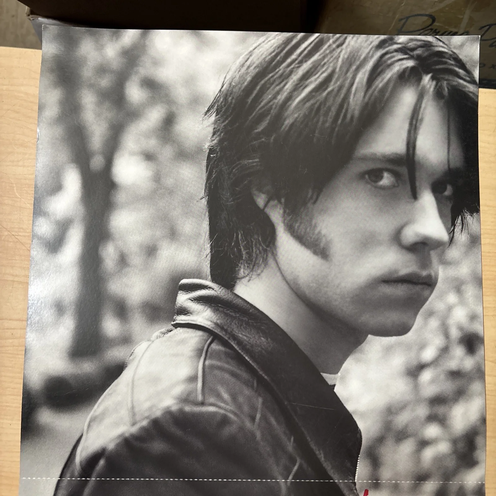 Rufus Wainwright Poses Promo Poster SIGNED 2001 SKG Music Foldout 24x12, image 5