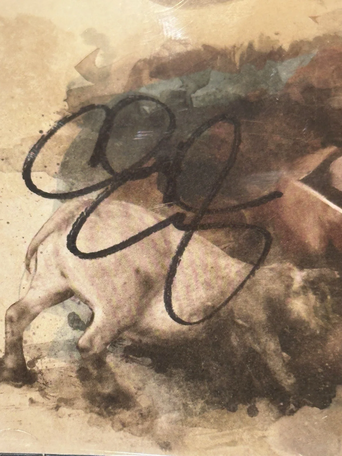 Chris Cagle Autographed Back In The Saddle CD Signed RARE, image 2