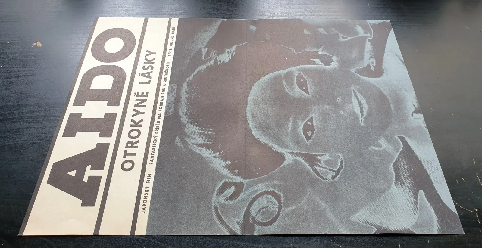 AIDO: SLAVE OF LOVE, SUSUMU HANI, ORIGINAL A3 CZECH MOVIE POSTER, изображение 2