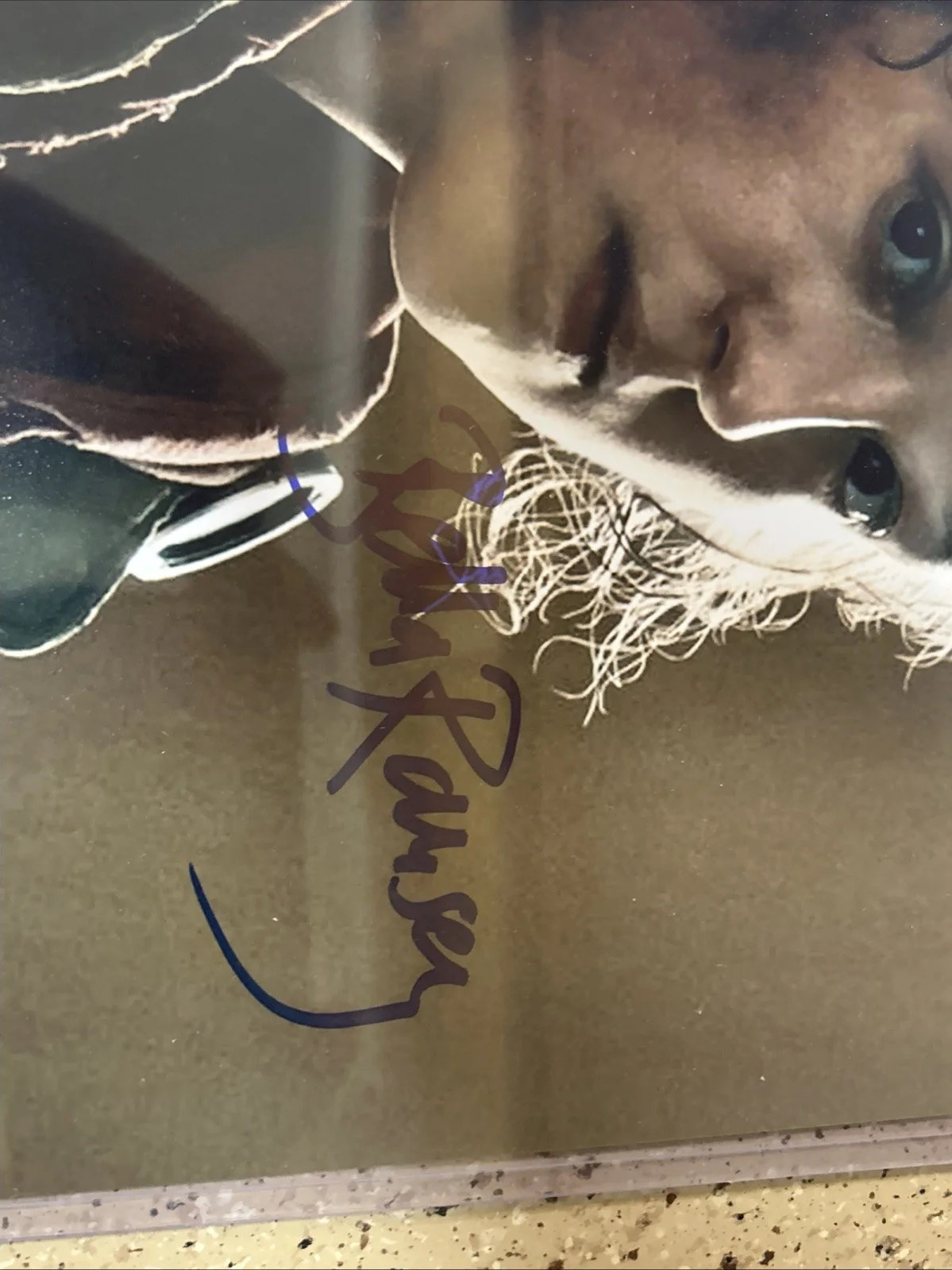 Bella Ramsey Signed 11x14 Autographed Photo With COA “The Last Of Us”, изображение 3