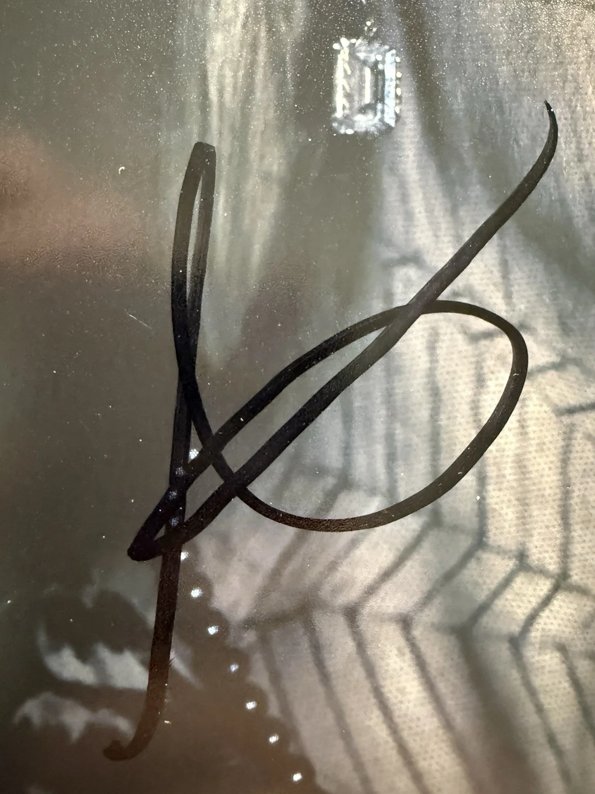 Sarah Paulson — Sarah Paulson Signed 8x10 American Horror Story Cordelia Goode Photo Beckett COA, изображение 2