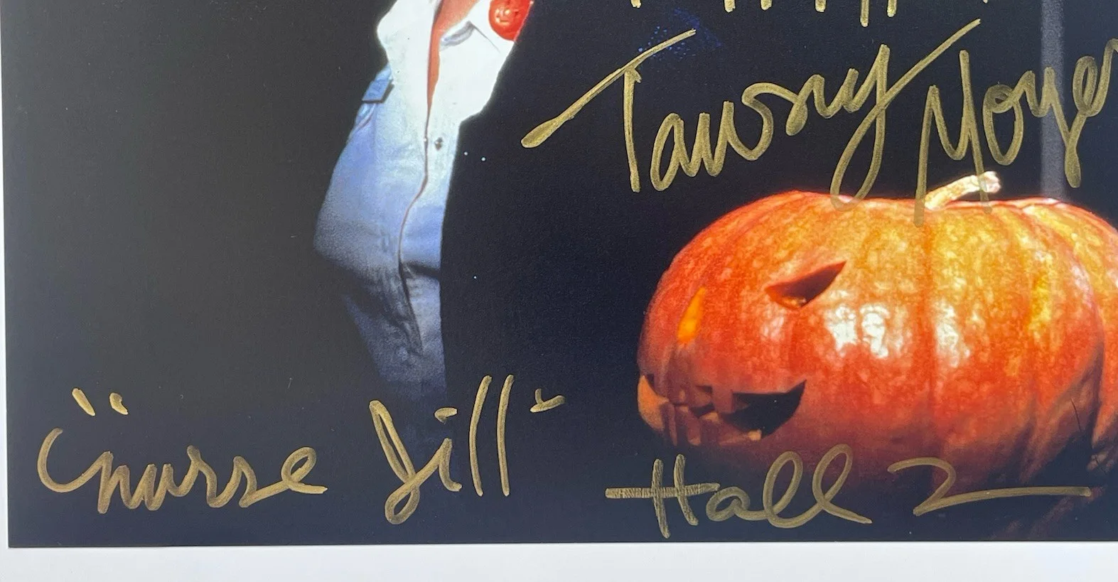 Tawny Moyer — Tawny Moyer Signed 8x10 Photo Authentic Halloween II Nurse Jill, изображение 3