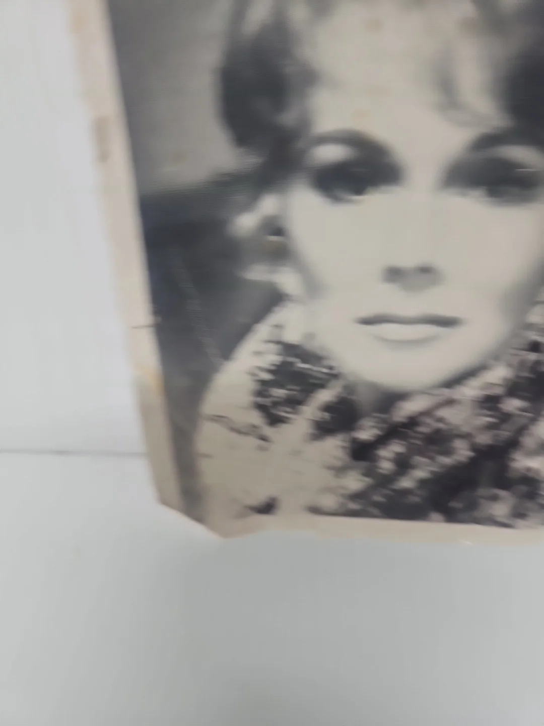 Eva Gabor Signed 8x10 Photo, image 4