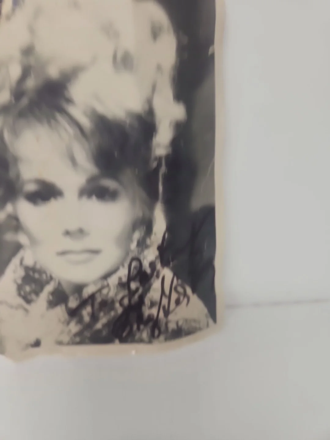Eva Gabor Signed 8x10 Photo, image 5