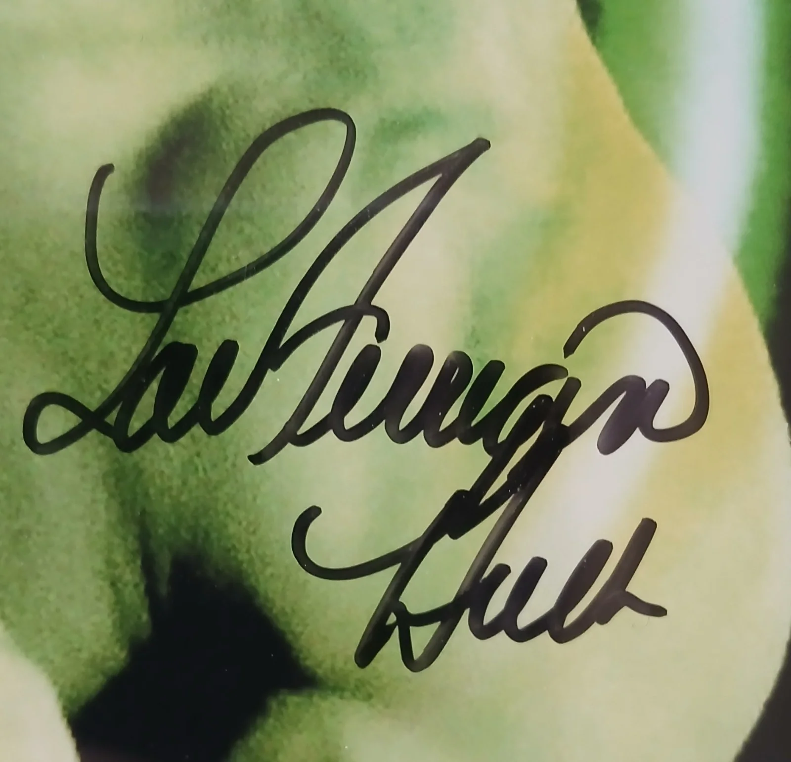 LOU FERRIGNO — LOU FERRIGO THE INCREDIBLE HULK SIGNED 8X10 PHOTO IN BLACK FRAME, изображение 2