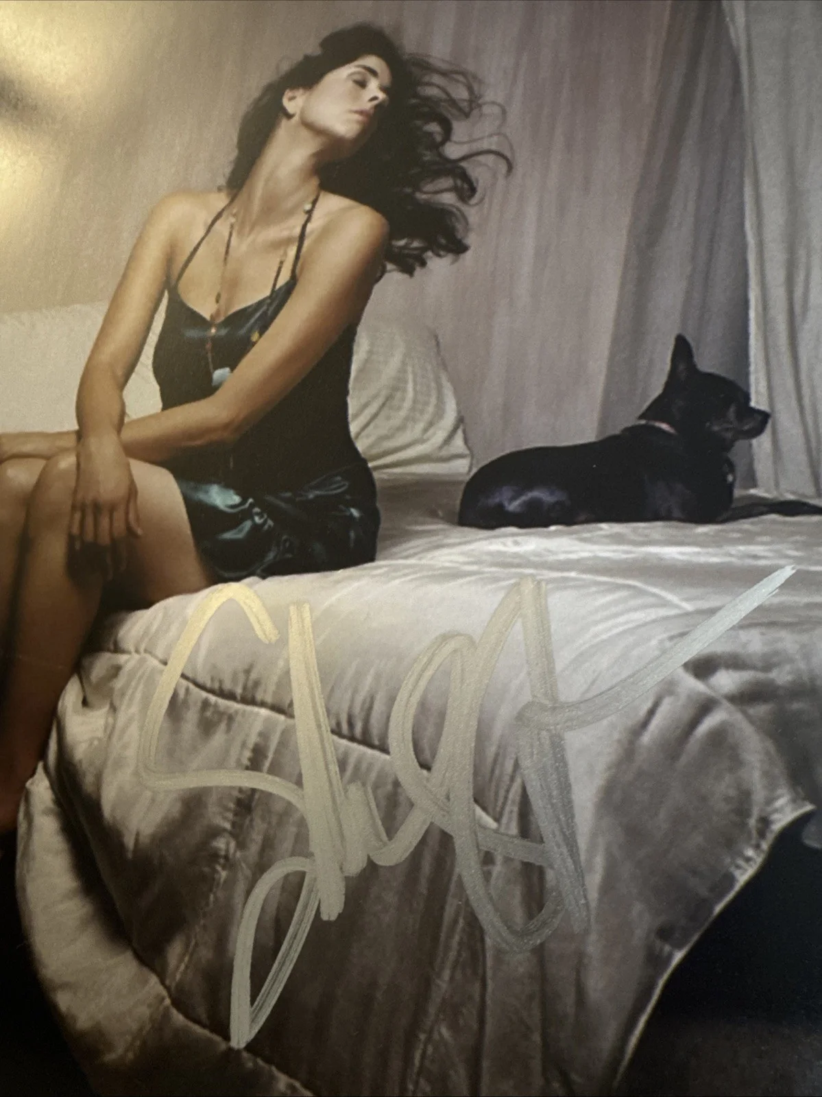 Sarah Silverman — SARAH SILVERMAN Signed 8x10 Photo In Green Negligee In Person Autograph, изображение 2