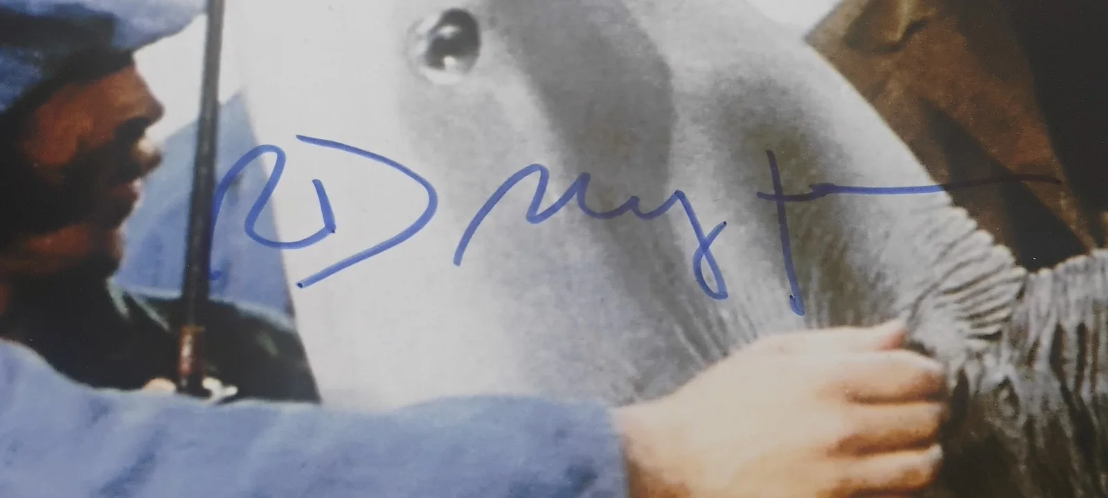 Richard Dreyfuss Hand Signed 8x10 Photo BAS COA Jaws NO US TARIFFS, image 3