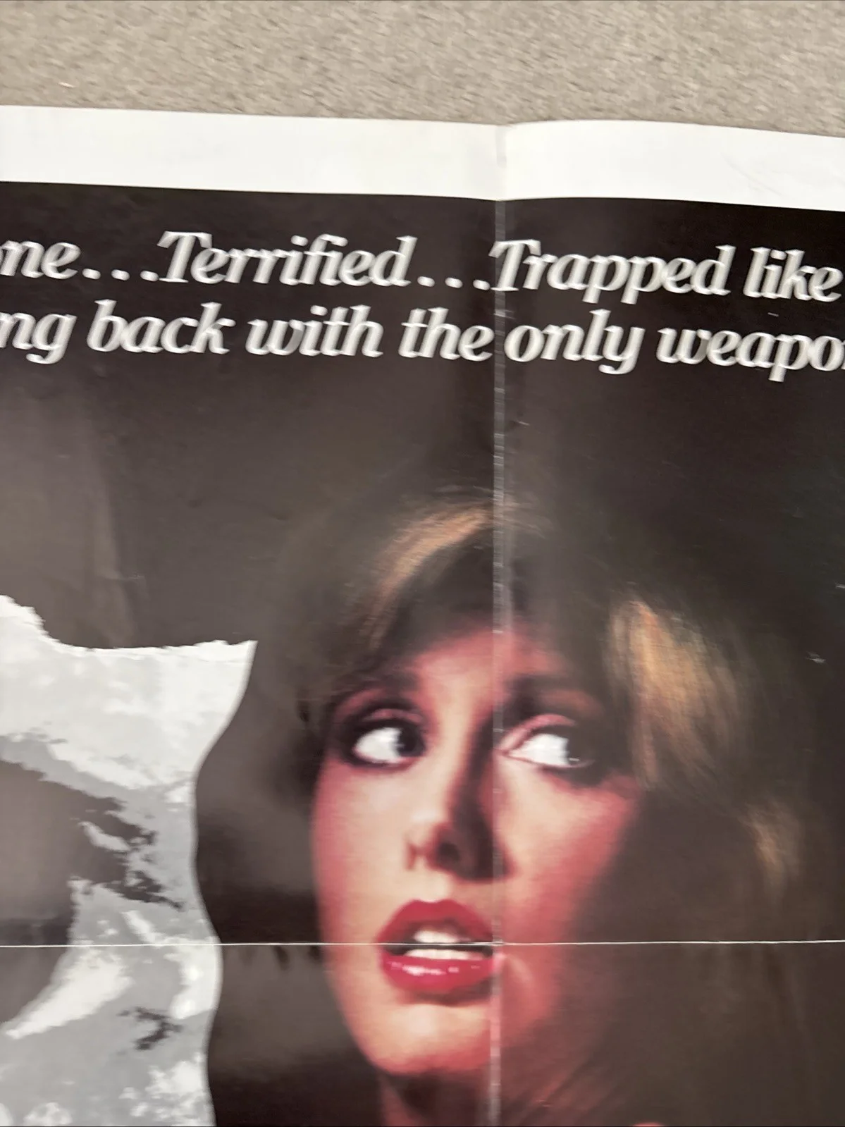 The Seduction (1982) Original US One Sheet Movie Poster, изображение 3