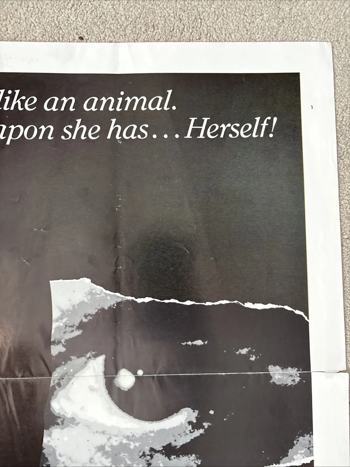 The Seduction (1982) Original US One Sheet Movie Poster, изображение 4