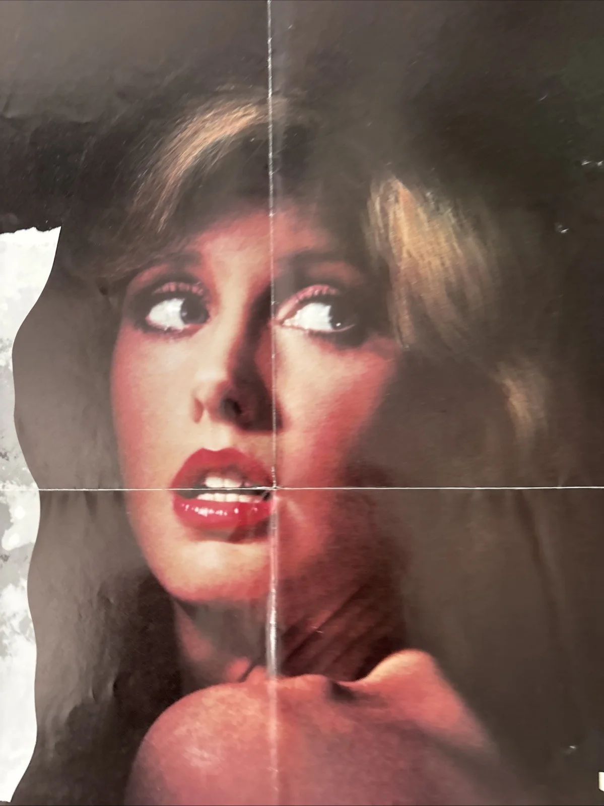 The Seduction (1982) Original US One Sheet Movie Poster, изображение 5
