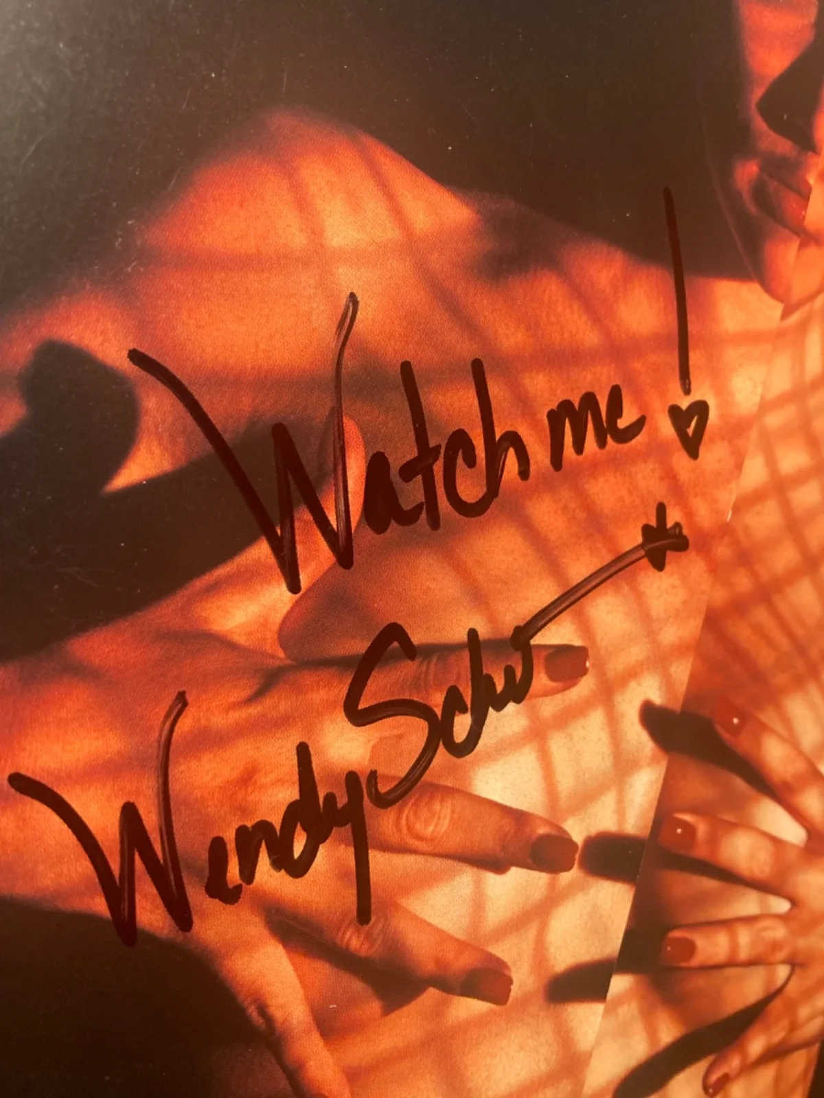Hand SIGNED Wendy Schumacher 11x8.5 Fold-Out Promo - Animal Insticts: Seductress, изображение 2