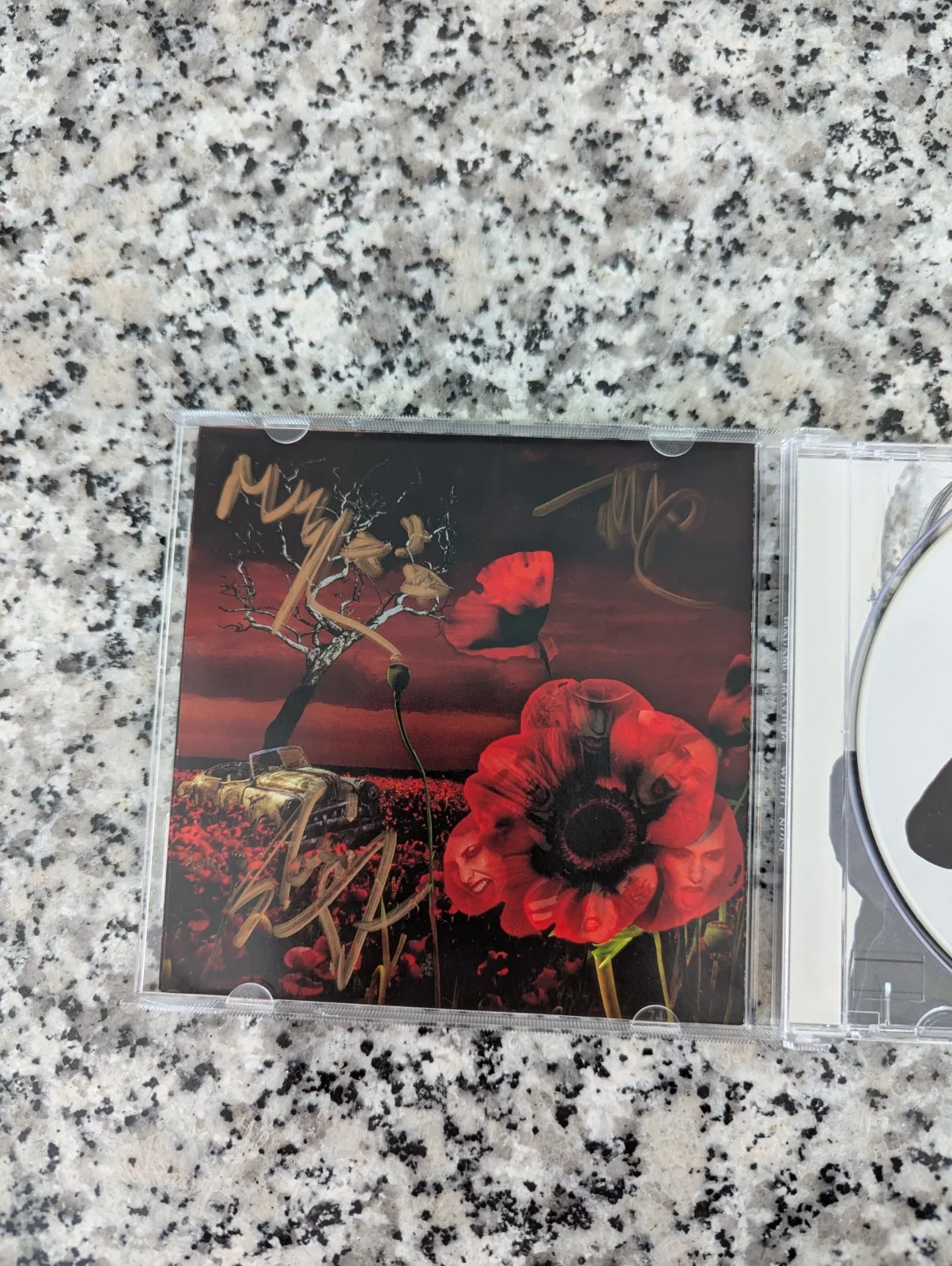 Signed Madame Mayhem "White Noise" CD, image 4
