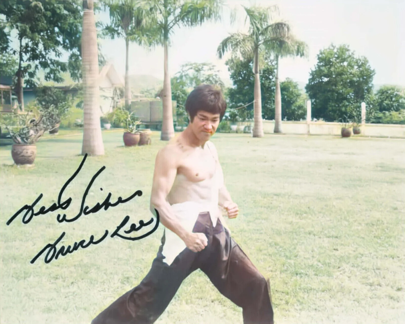 BRUCE LEE — BRUCE LEE KATO THE GREEN HORNET 8.5X11 SIGNED PHOTO AUTOGRAPH POSTER REPRINT