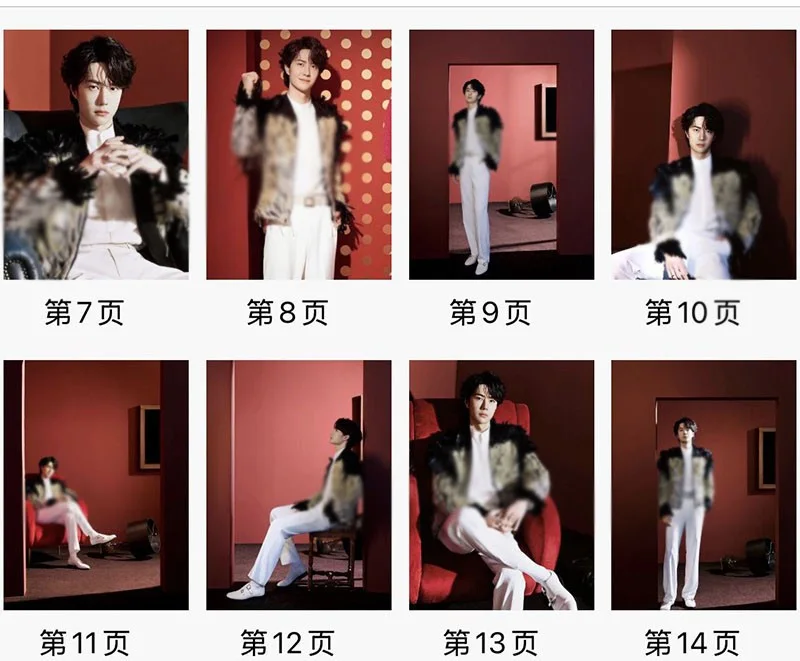 Wang Yibo 春晚写真集 Pictures Book Album Photo Book, изображение 3