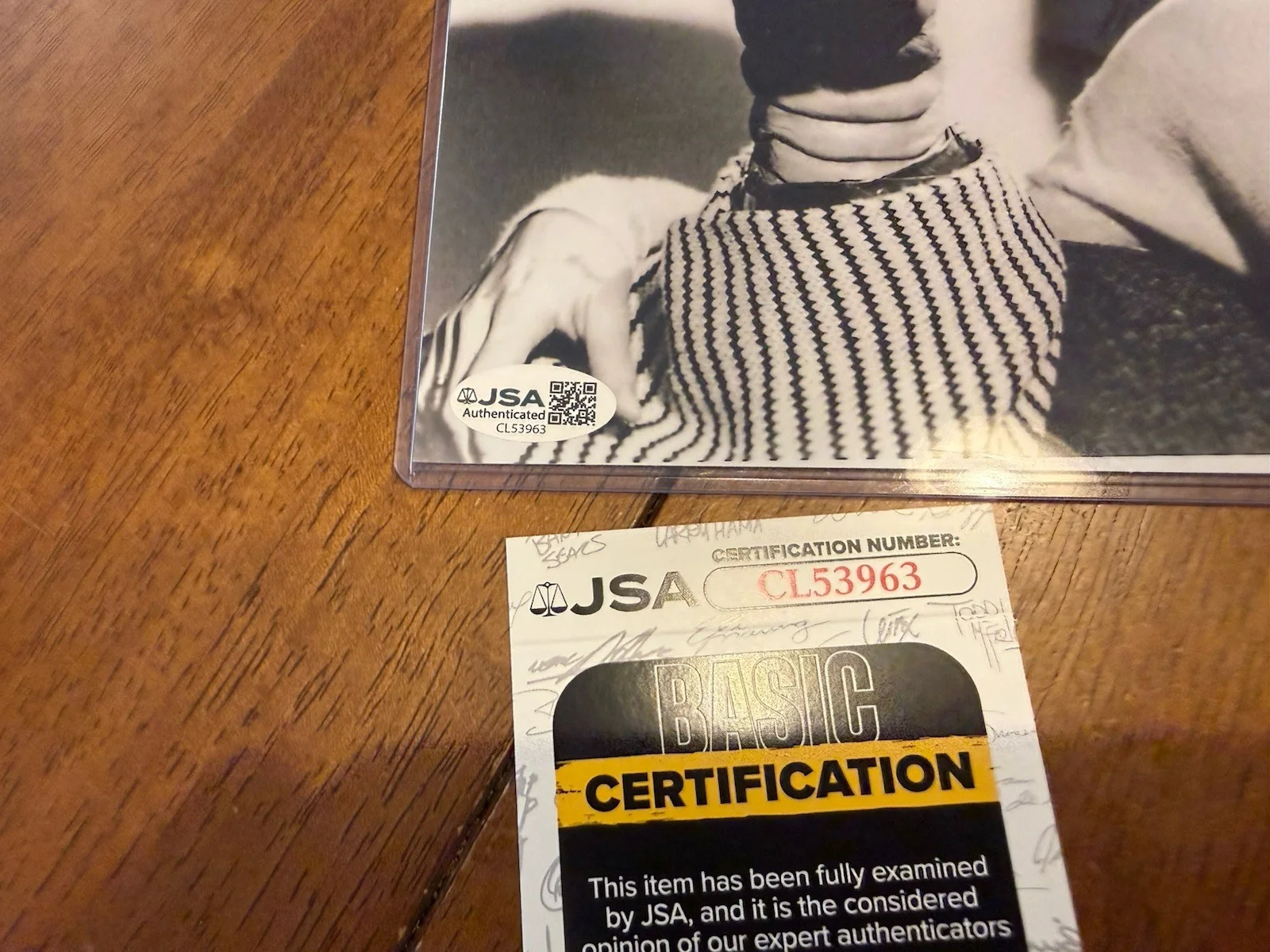 Dee Wallace — Dee Wallace Signed 8x10 E.T. Extra-Terrestrial Authentic Autograph JSA COA, image 2