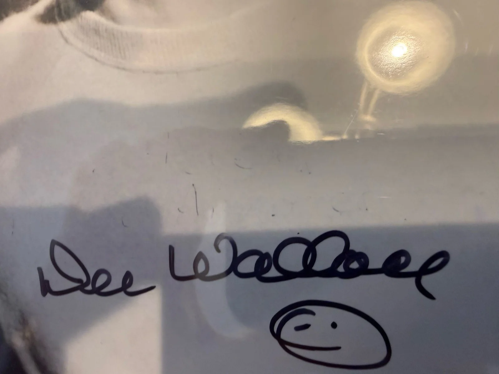 Dee Wallace — Dee Wallace Signed 8x10 E.T. Extra-Terrestrial Authentic Autograph JSA COA, image 5