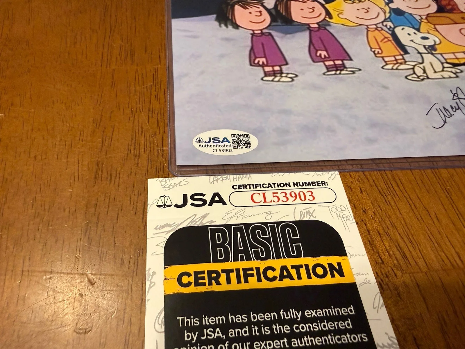 See title — TRACY STRATFORD SIGNED AUTHENTIC PEANUTS 'LUCY VAN PELT' 8X10 PHOTO JSA, изображение 2