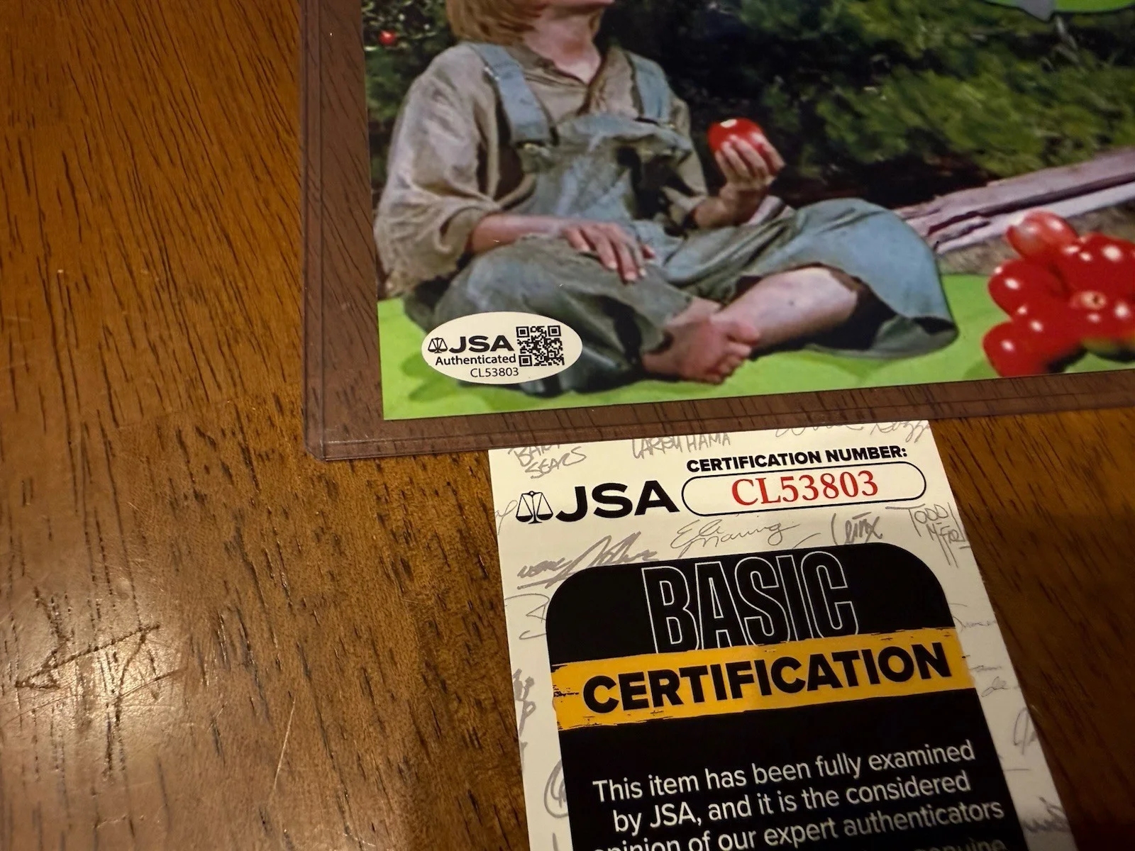 Sean Marshall — Sean Marshall signed 8x10 Photo Pete Disney's Pete's Dragon JSA Authentication, image 2
