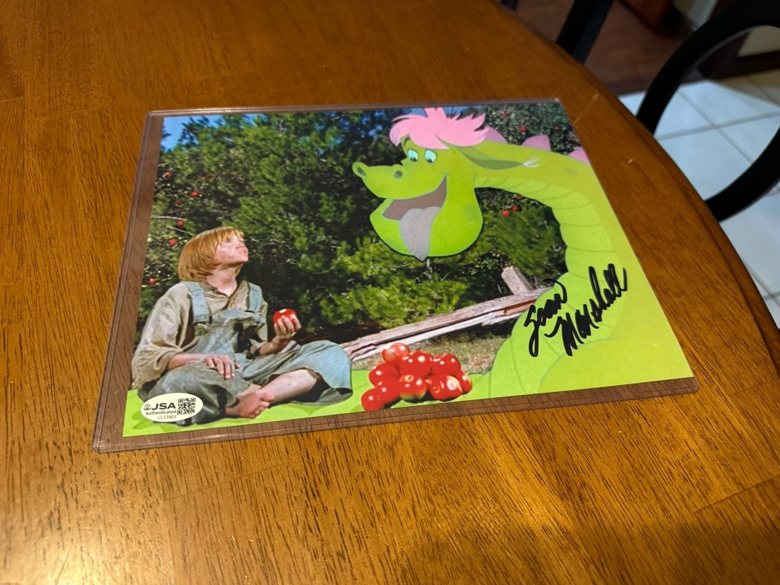 Sean Marshall — Sean Marshall signed 8x10 Photo Pete Disney's Pete's Dragon JSA Authentication, image 3