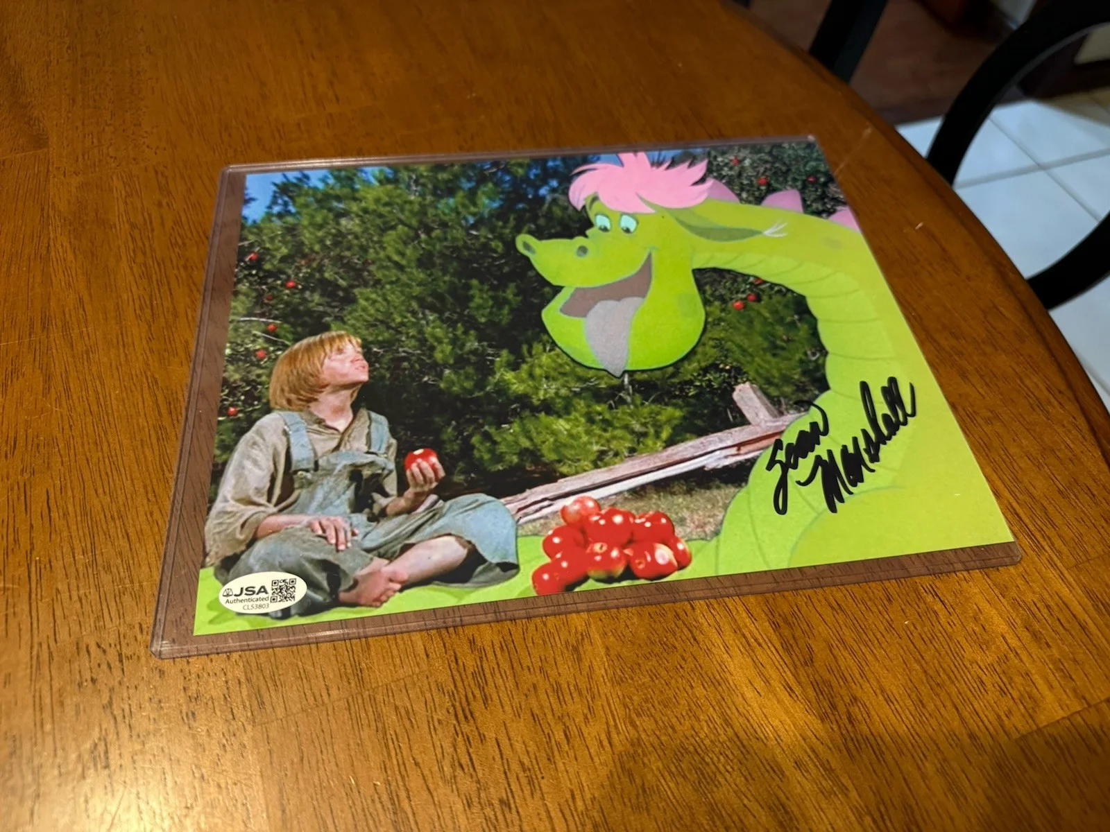 Sean Marshall — Sean Marshall signed 8x10 Photo Pete Disney's Pete's Dragon JSA Authentication, image 4