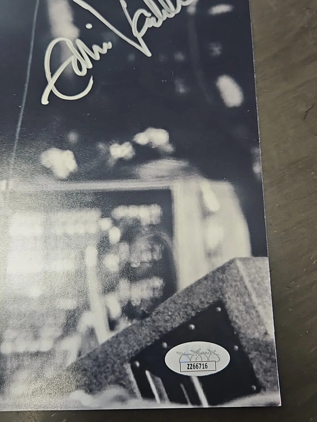 Eddie Vedder Signed 11x14 Live Action Concert Photo Pearl Jam JSA LOA, изображение 5