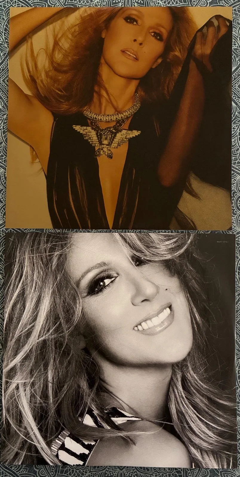 CELINE DION Signed "Loved Me Back to Life" 12x12 Promo Flat LP Autograph COA, изображение 3