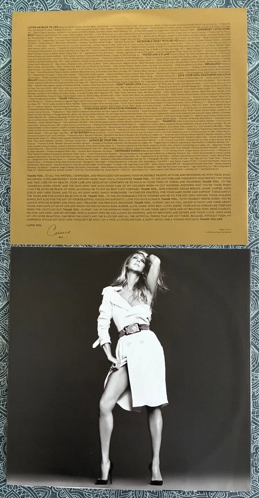 CELINE DION Signed "Loved Me Back to Life" 12x12 Promo Flat LP Autograph COA, изображение 4