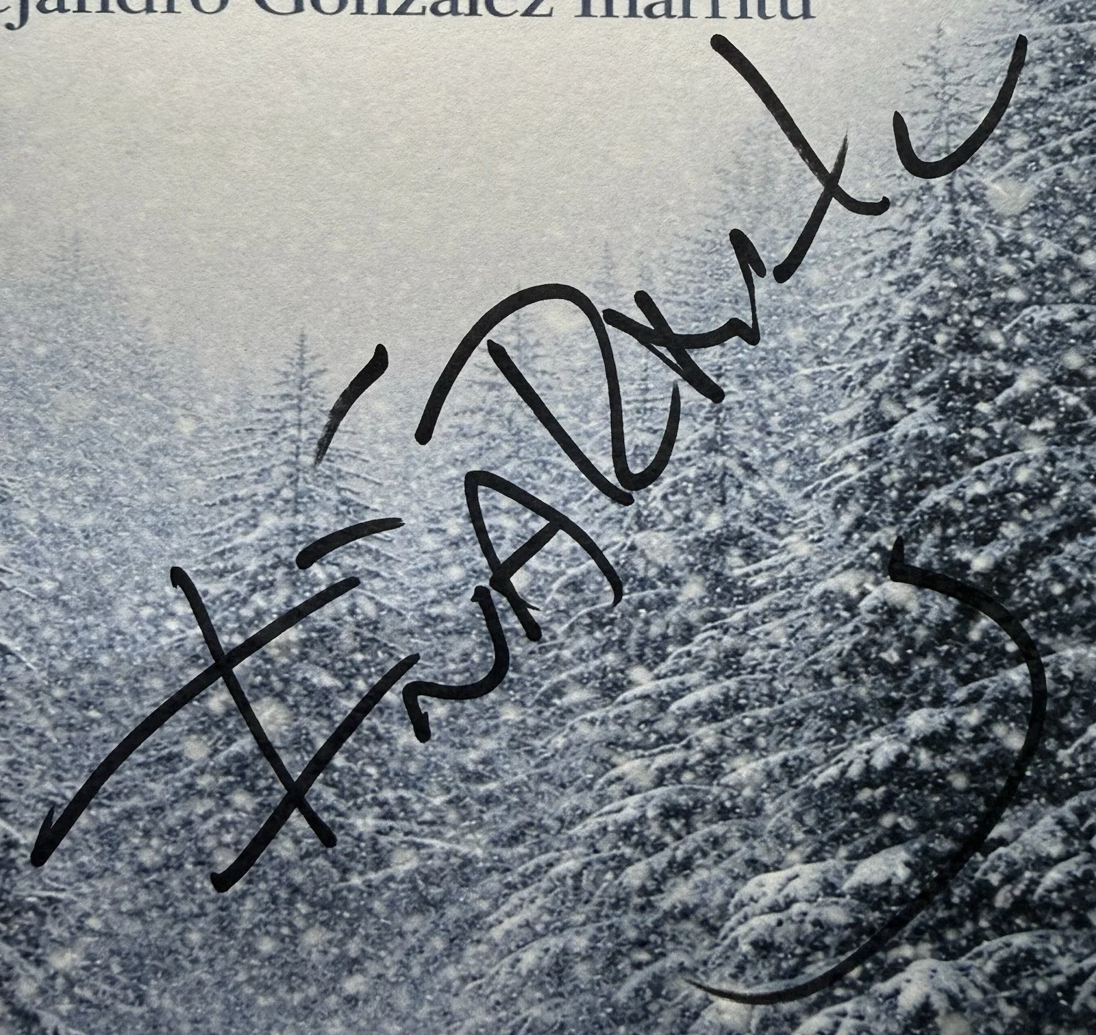 Alejandro Inarritu — Alejandro Inarritu Autograph Signed 8x10 The Revenant Script Cover Beckett COA, image 2